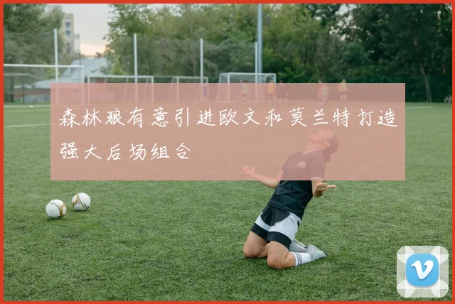 森林狼有意引进欧文和莫兰特打造强大后场组合